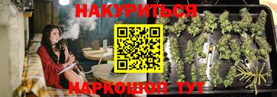 jwh Будённовск