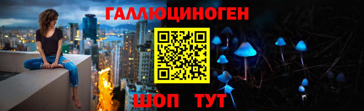 Галлюциногенные грибы мухоморы  Вход с VPN  где купить   Россия 